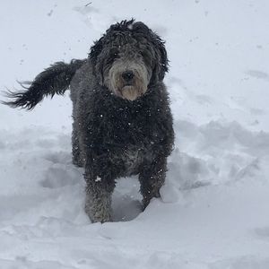 Meet your Posher, Martha